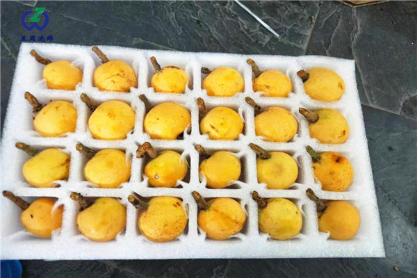 琵琶托or枇杷托，別一不小心就弄混淆了